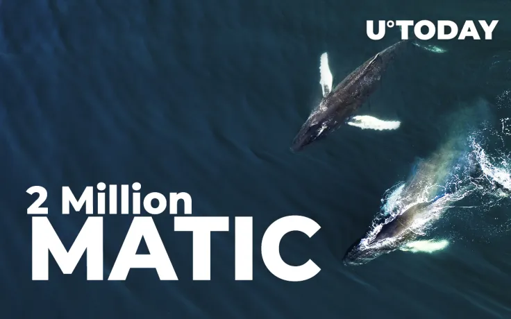 Two Major Ethereum Whales Buy 2 Million MATIC in Past 24 Hours