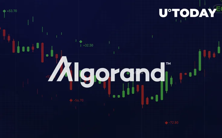 Algorand Spikes 15% on New Initiative, Plans to Share 2 Million ALGO Tokens