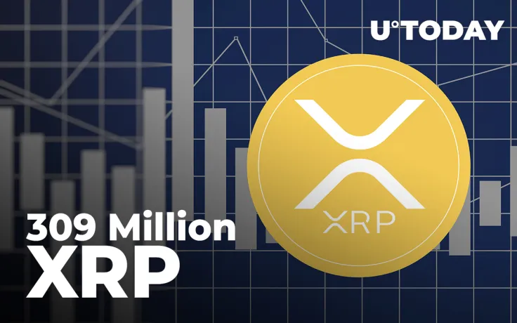 309 Million XRP Wired by These Leading Exchanges as 2021 About to Finish
