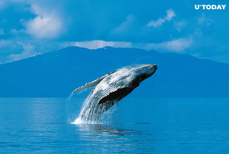 Satoshi-Era Bitcoin Wallet Activated After 10.5 Years