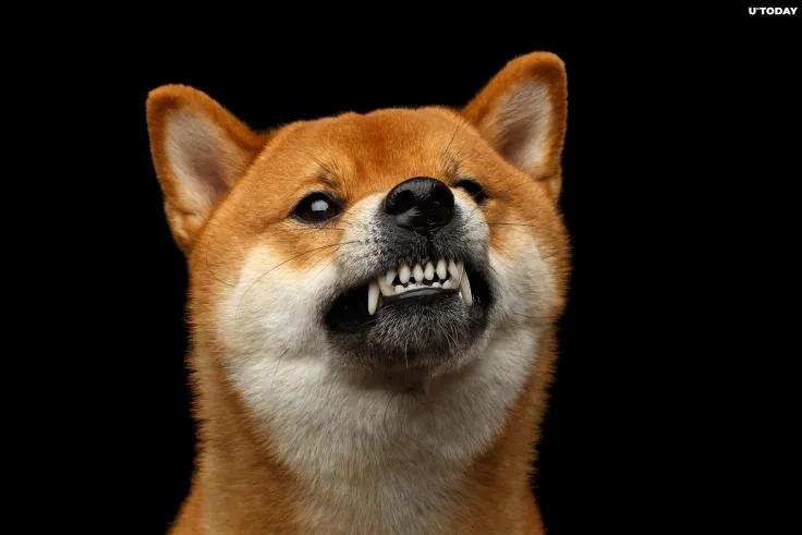 Shiba Inu Army at War with Renegade Promoter