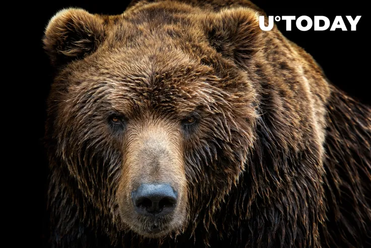 Shiba Inu, Dogecoin, Solana and Other Cryptocurrencies Record Double-Digit Losses Amid Market Mayhem