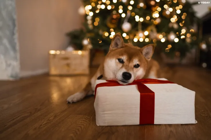 Dog Coin Skyrockets 4,000% Because of Elon Musk Tweet