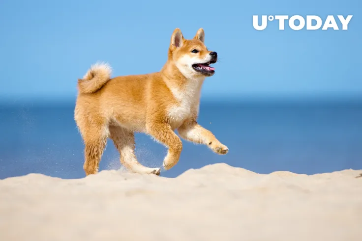 Dogecoin Killer Shiba Inu Can Now Be Used for Booking Over 2 Million Hotels