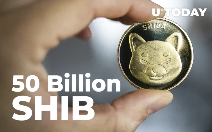 50 Billion SHIB Grabbed by Top Ethereum Whale: Details