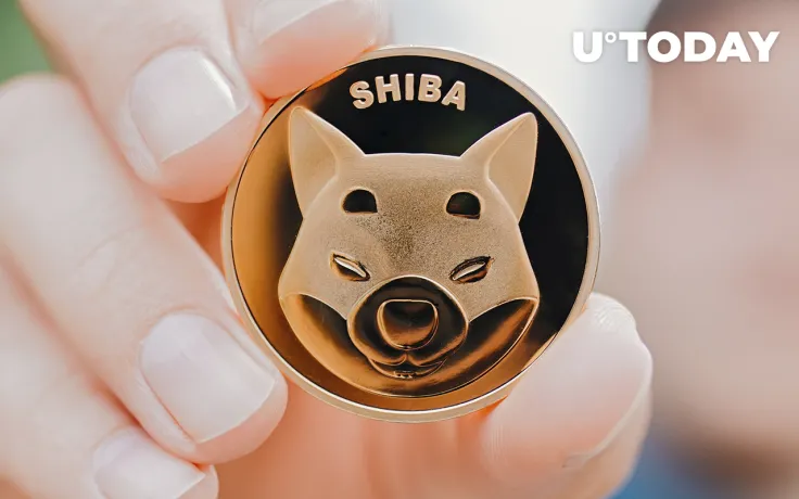 Shiba Inu Price Recovers as SHIB Returns Once Again Among Top 10 Tokens Purchased by Whales