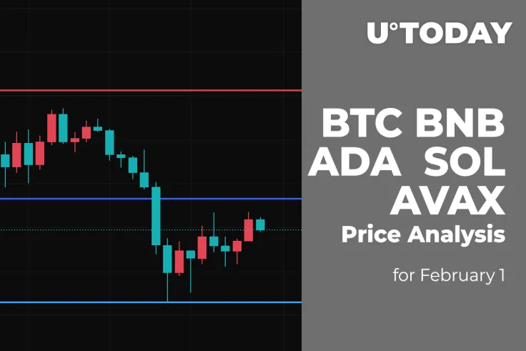 BTC, BNB, ADA, SOL and AVAX Price Analysis for February 1