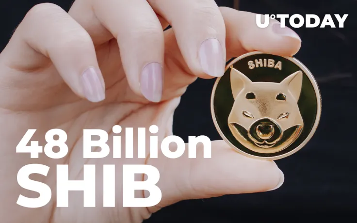 48 Billion SHIB Acquired by Shiba Inu Whale Just Recently: Report