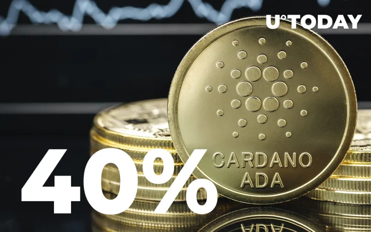 Cardano Millionaire Whales Have Increased Holdings by 40% in January: Details