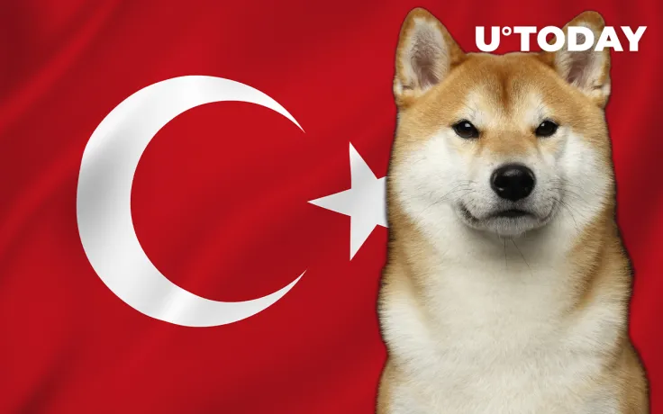 Shiba Inu Listed on Turkish Exchange: Details