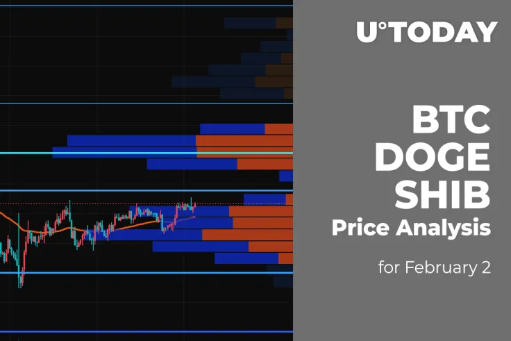 BTC, DOGE and SHIB Price Analysis for February 2