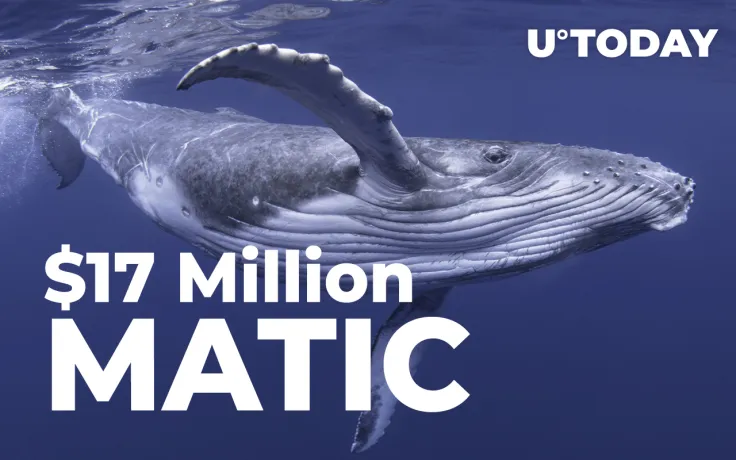 ETH Whales Grab $17 Million Worth of MATIC: Details