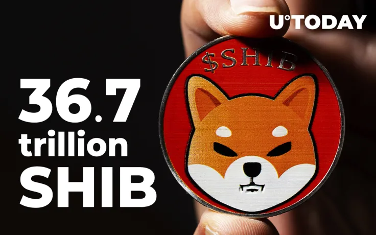 36.7 Trillion SHIB Whale Expands Portfolio, Here's What He Acquires