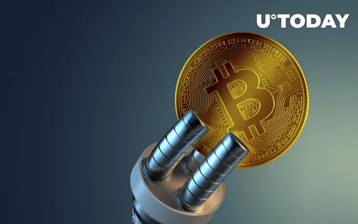 Bitcoin Long-Term Holders Increase Their Share of Supply as BTC Surpasses $43,000