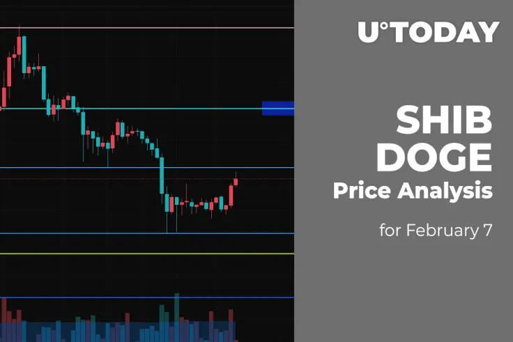 SHIB and DOGE Price Analysis for February 7
