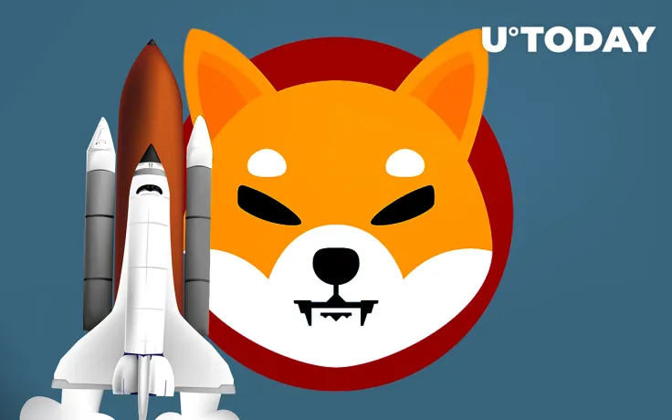 Shiba Inu Addresses Surge 100% as SHIB Price Skyrockets