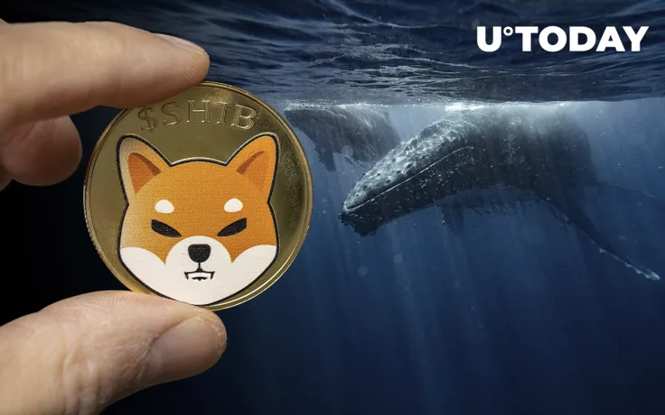 SHIB Whale Holding 35 Trillion Shiba Inu Adds to His Portfolio, Here's What He Buys
