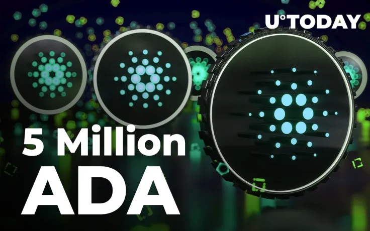 5 Million ADA Grabbed by Top BNB Whale: Details