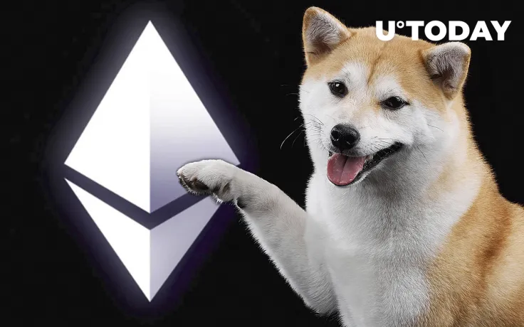 Shiba Inu Once Again Becomes Largest Holding on Whale Addresses, First Time Since January