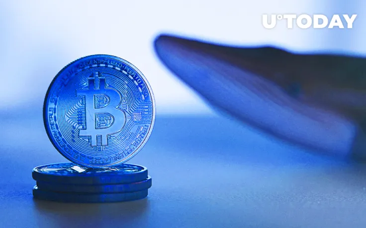 220,000 BTC Bought by Bitcoin Whales Since December, Quickest Accumulation Since Late 2019: Santiment