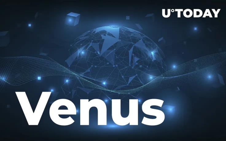 Venus To Launch Grant Programs For Incentivizing Ecosystem Development 
