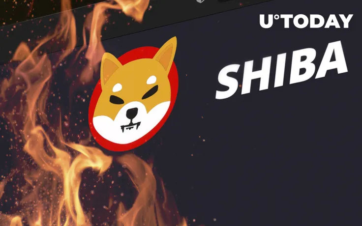 144.2 Million SHIB Burned, While SHIB Becomes Token with Largest USD Value for Whales