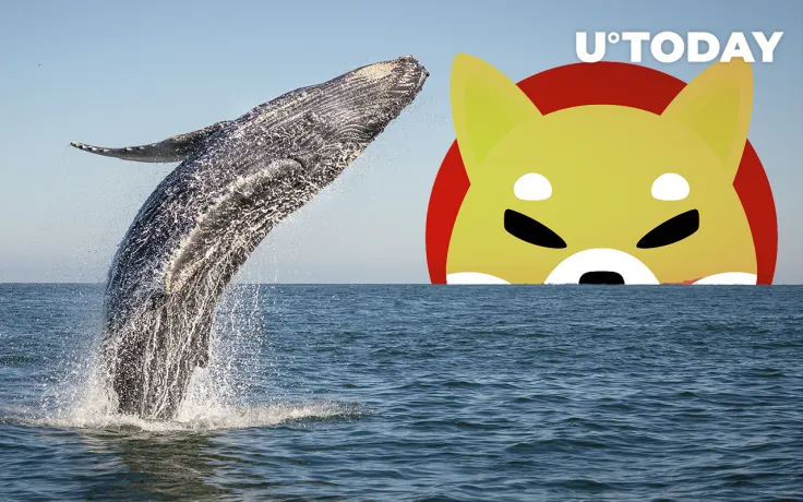 36.8 Billion SHIB Bought by Several Whales Just Now: Details
