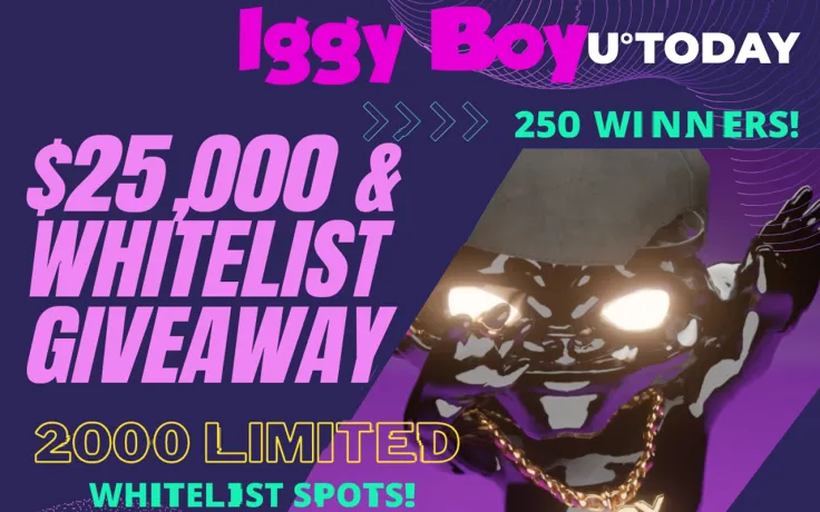 IggyBoy NFT Rapidly Approaching its Presale