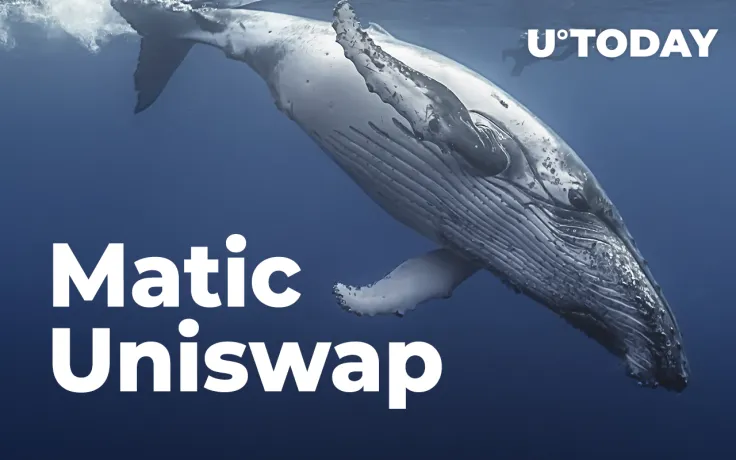 Matic, Uniswap Among Most Purchased Tokens by Whales as Market Dips