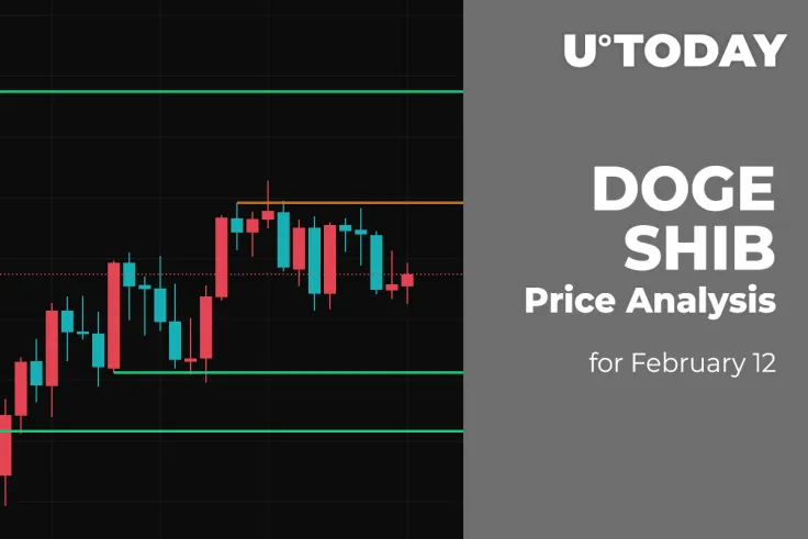 DOGE and SHIB Price Analysis for February 12