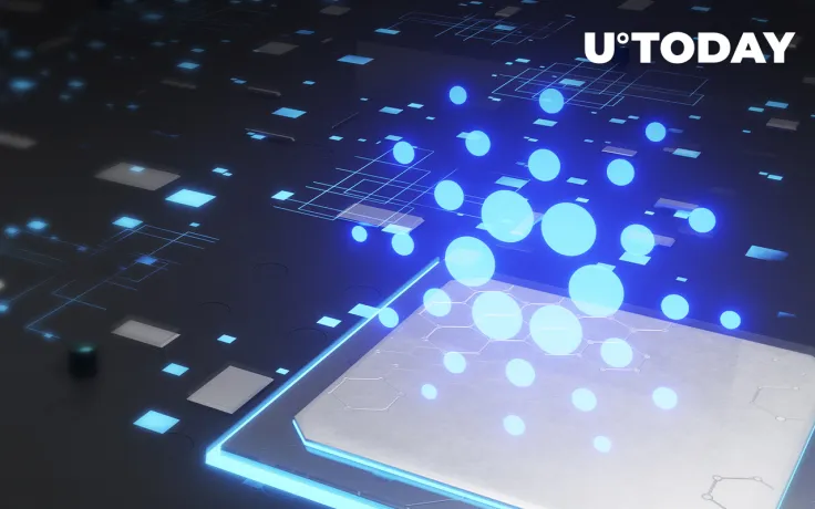 Cardano Outpaces Bitcoin, Ethereum in Transaction Volume; Here Is the Distinction