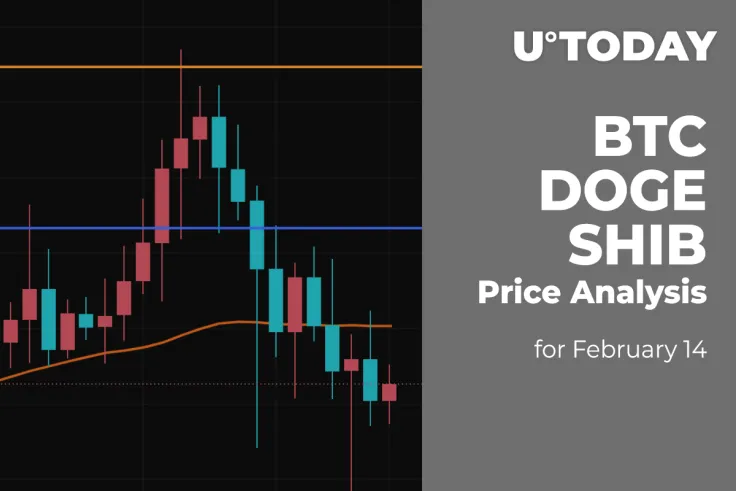 BTC, DOGE, and SHIB Price Analysis for February 14