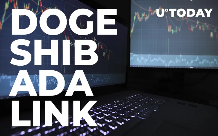  DOGE, SHIB, ADA and LINK are Among Top 11 Coins Held by Largest BSC Whales: Details