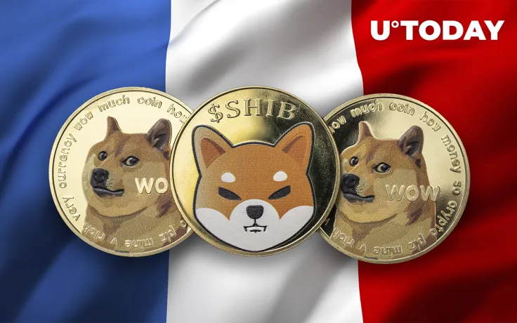 Shiba Inu and Dogecoin Among Most Desirable Cryptocurrencies in France: Report