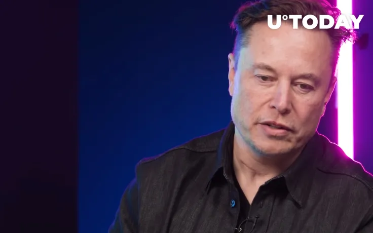 Elon Musk Complains About Crypto Scammers on Twitter (Again)