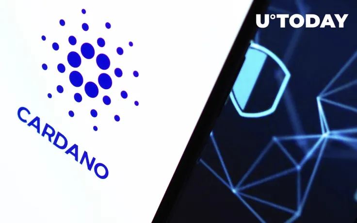 Cardano Sees Significant Growth in On-Chain Activity as New Addresses Spike 167%