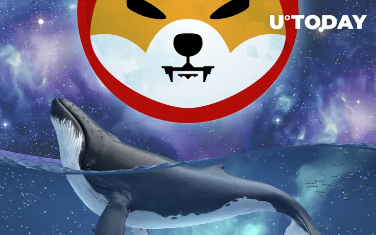 $2 Billion in SHIB Now Held by ETH Whales as Their Bet on Token Increases