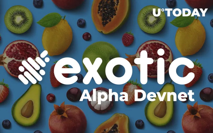 Solana-Based Exotic Markets Goes Live in Alpha Devnet: Details