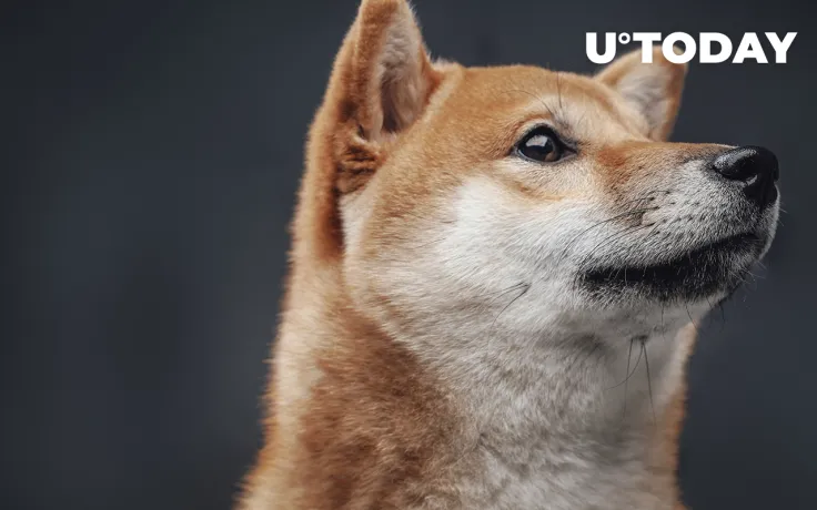 Shiba Inu Outperforms Majority of Cryptocurrency Market