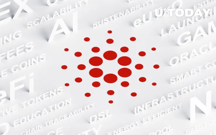 Cardano Foundation Announces a Shift in Leadership: Details