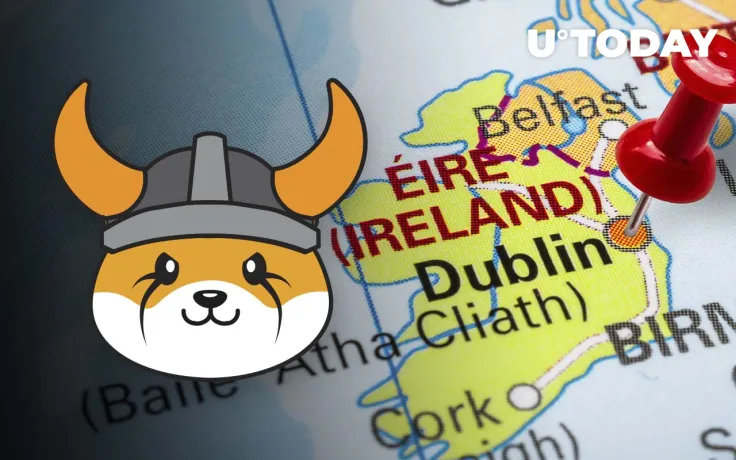 Floki Inu Faces Setback in Ireland