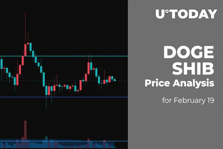 DOGE and SHIB Price Analysis for February 19