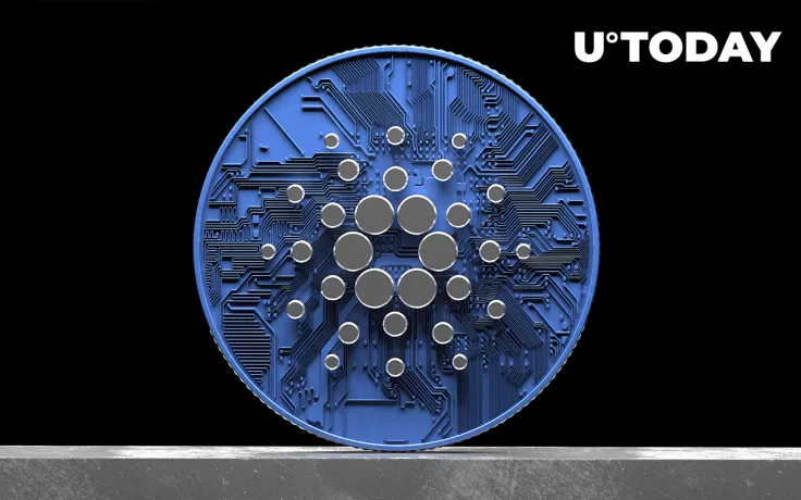 Cardano Enters Top 3 of Most Developed Coins on Crypto Market