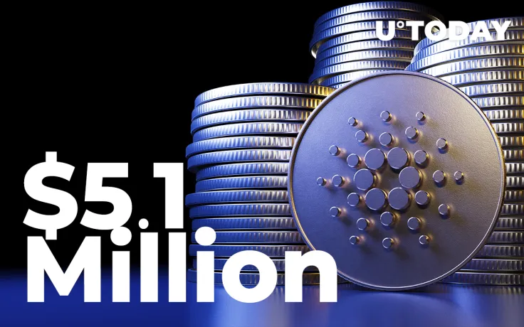 $5.1 Million in ADA Acquired by Largest BNB Wallet: WhaleStats