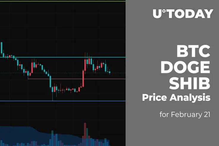 BTC, DOGE and SHIB Price Analysis for February 21