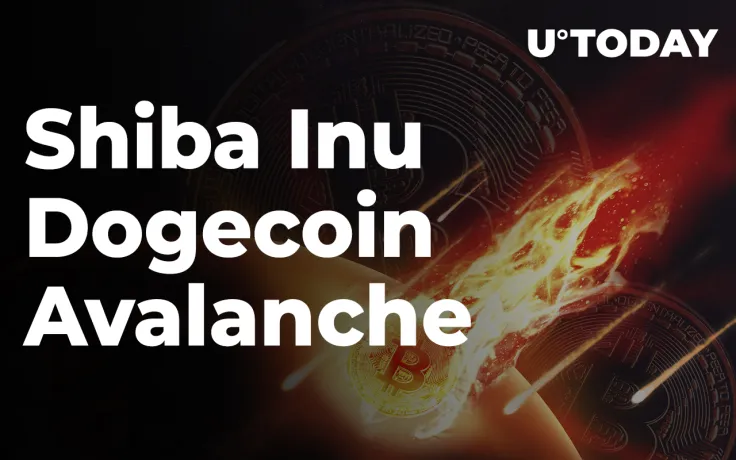 Shiba Inu, Dogecoin, Avalanche See Significant Daily Losses as Bitcoin Keeps Falling