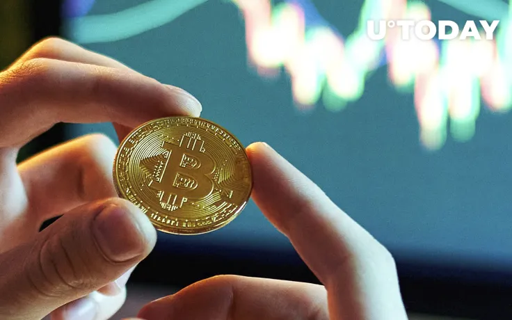 Number of Bitcoin "Hodlers" Reaches New All-Time High Despite Crypto Market Bloodbath