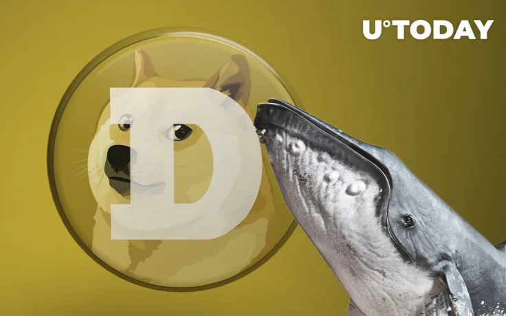 DOGE Replaces Polkadot as 12th Largest Cryptocurrency, Resurfaces Among Top Whale Holdings
