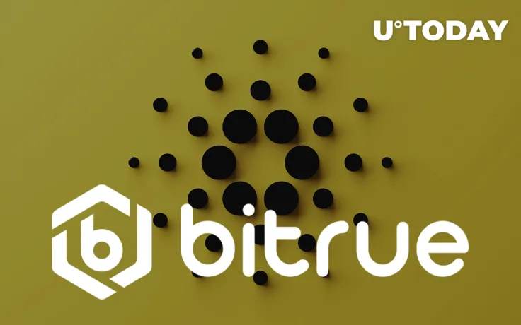 Big Cardano News Is in the Works, Says Bitrue Cryptocurrency Exchange: Details