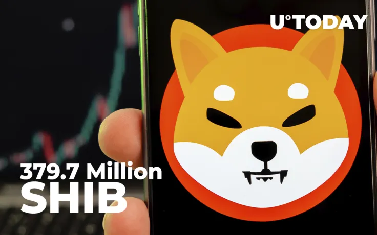 379.7 Million SHIB Burned in Feb by This SHIB Burner, While 63.7 Million Gone in Past 24 Hours